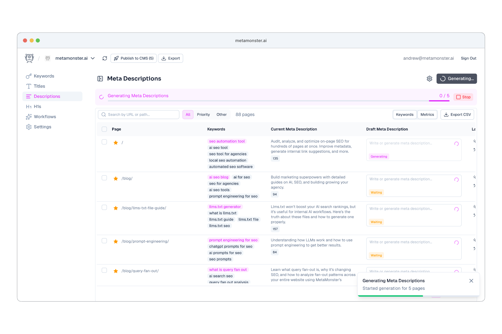 MetaMonster generating meta descriptions for a web development project