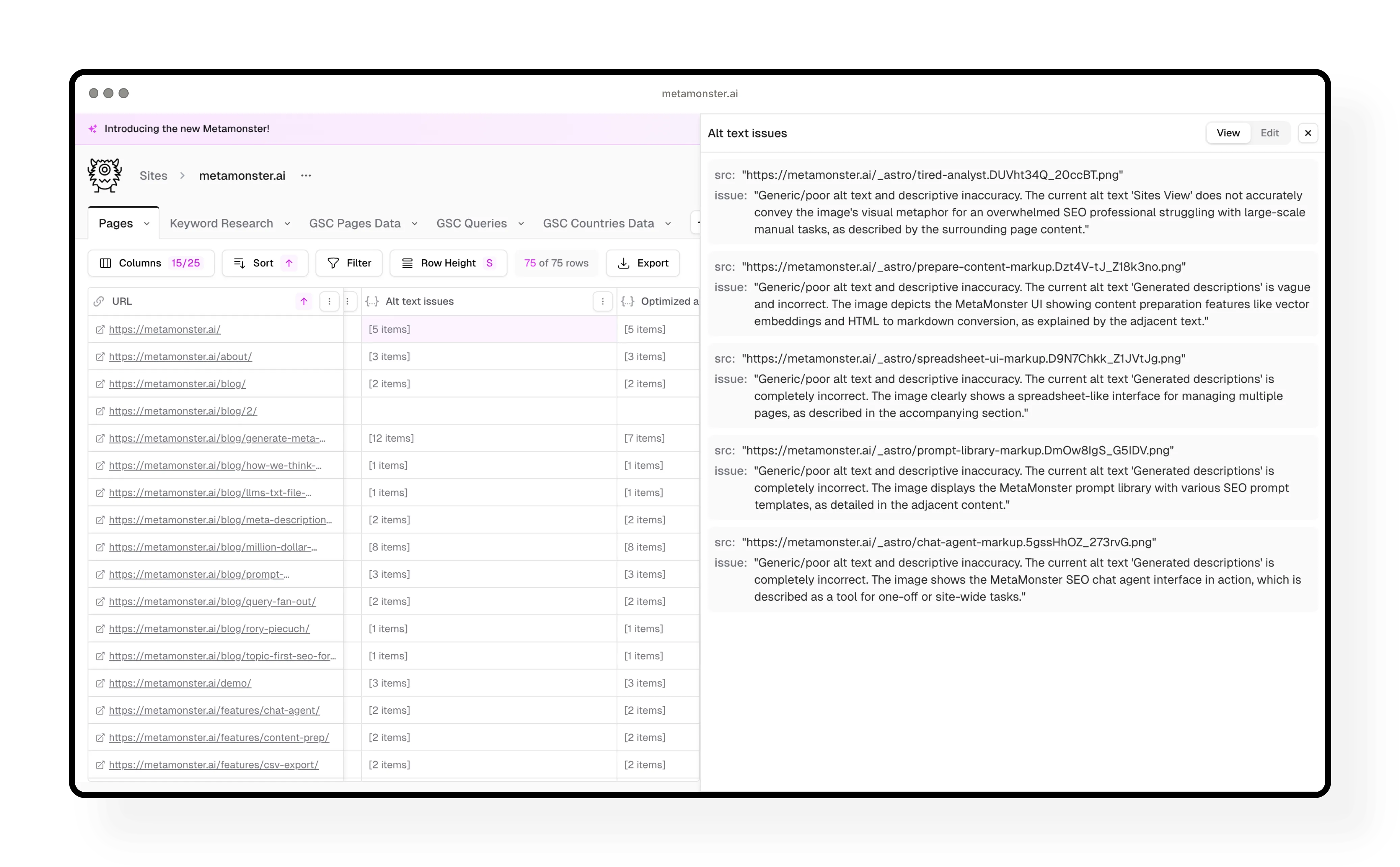 Image alt text generation showing identified issues and optimized alt text