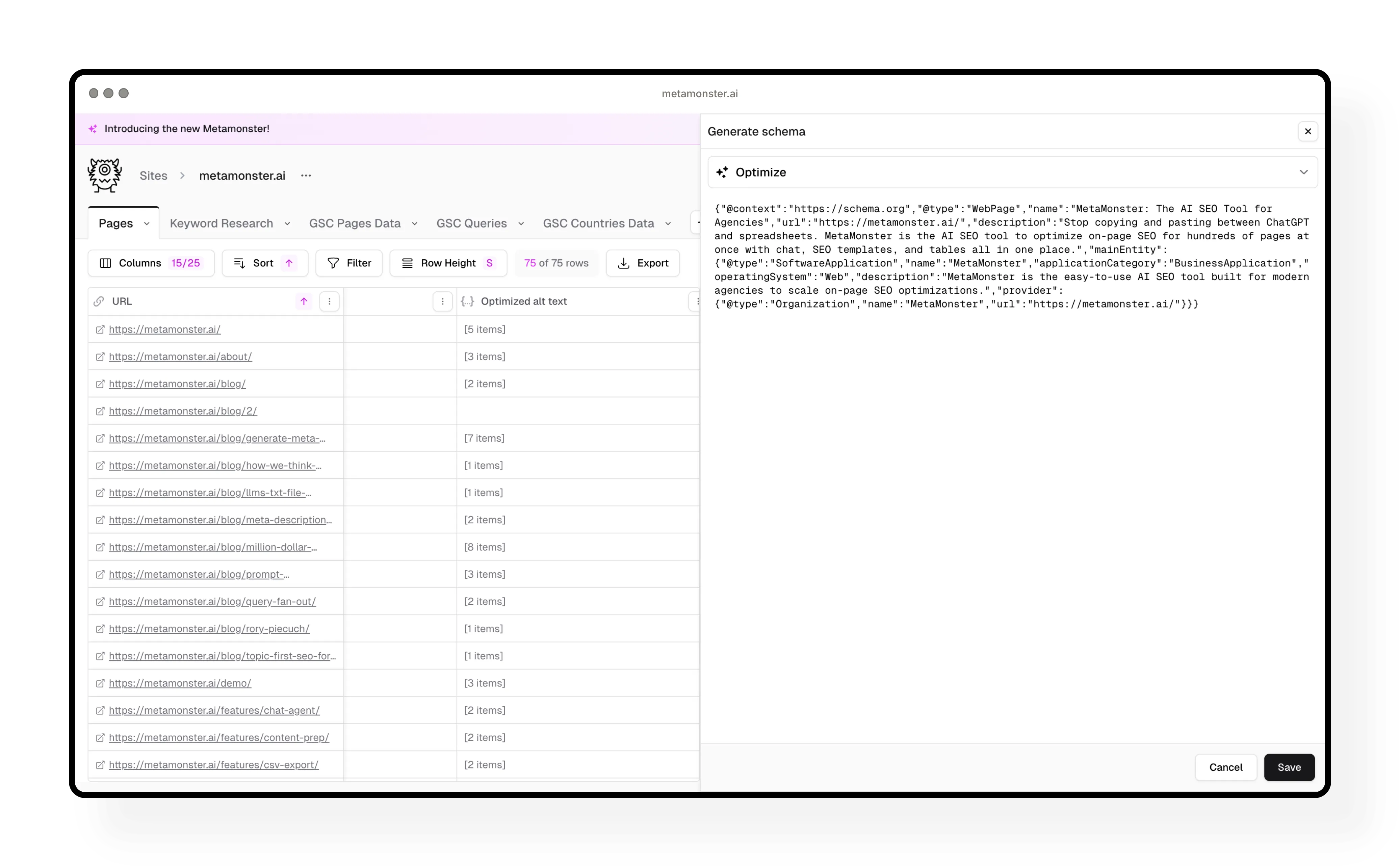Structured schema generation showing JSON-LD output