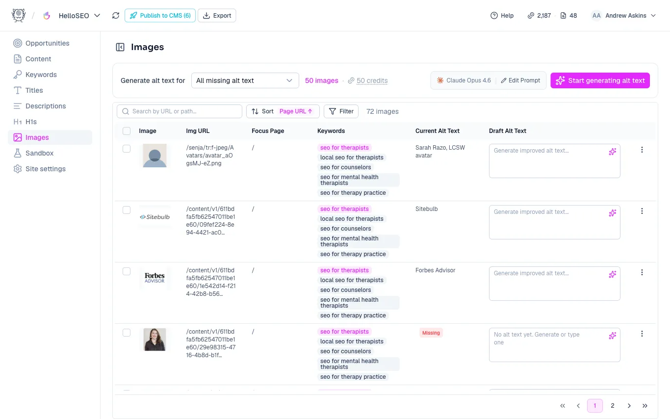 The image alt text page with focus pages and draft alt text