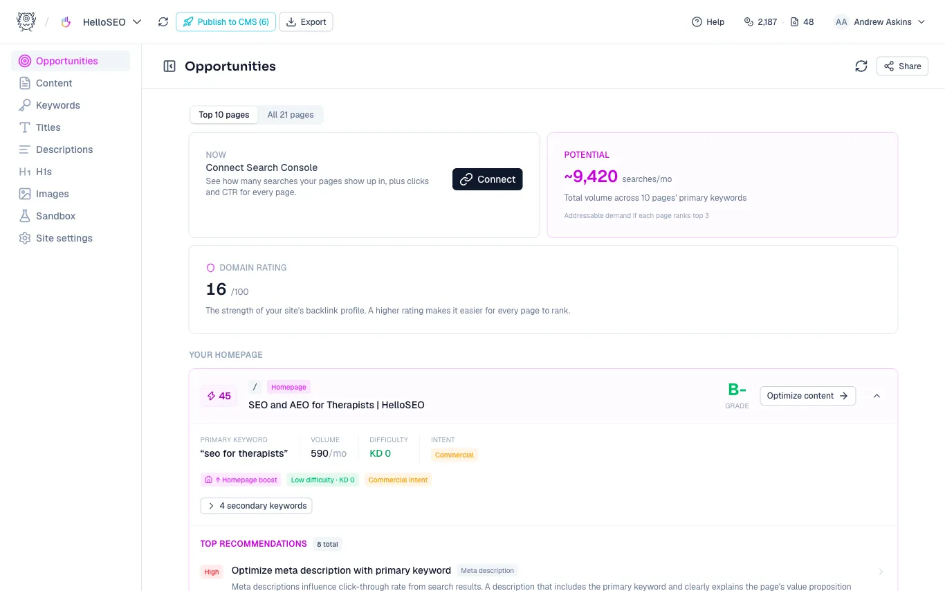 The Opportunities dashboard showing potential searches per month, domain rating, and the homepage card