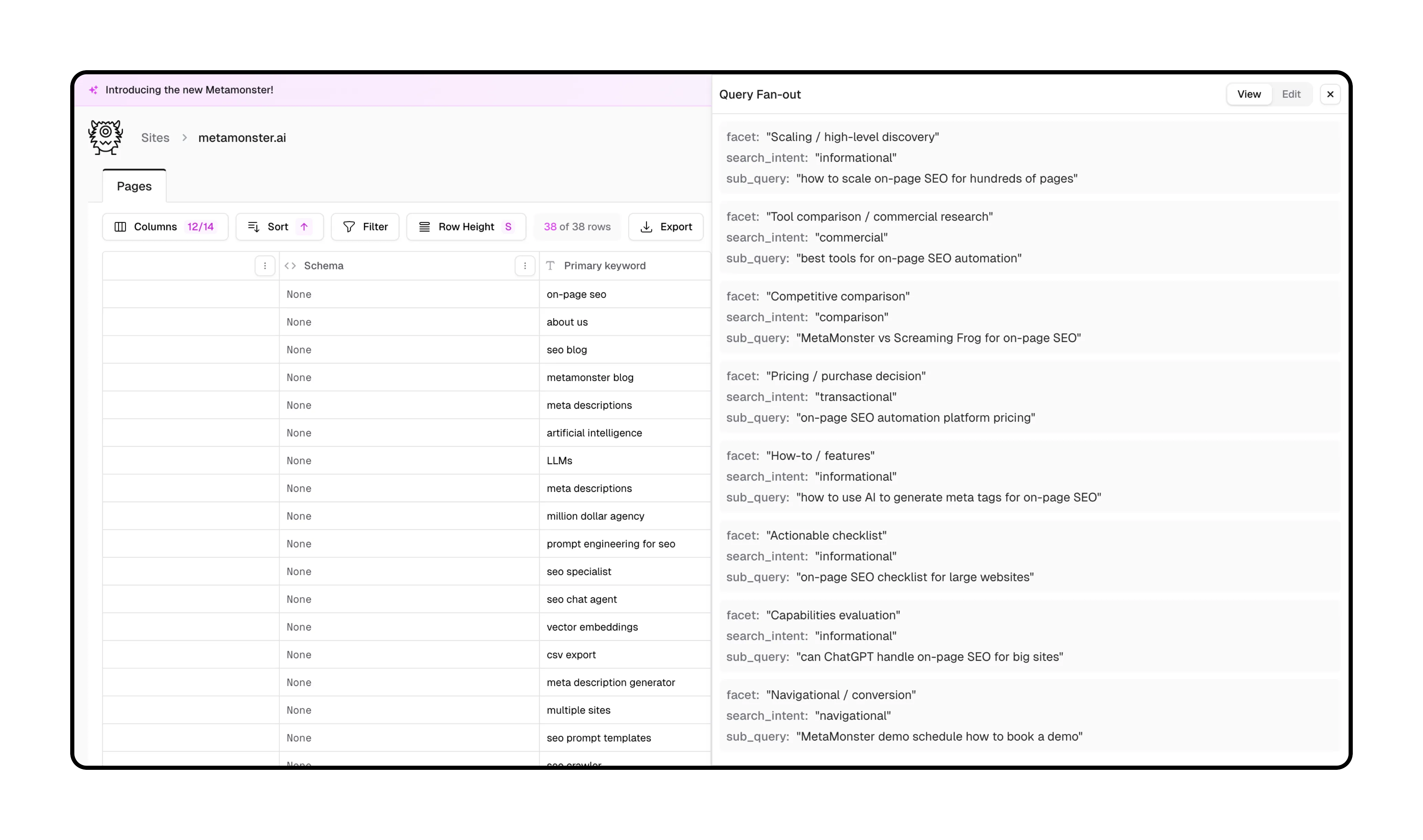 Screenshot of MetaMonster showing a query fan out output